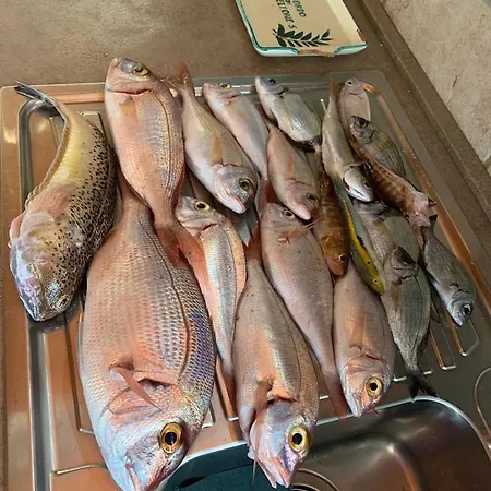 Casa Joy Lägenhet *